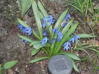 DSCF1657.webp