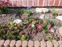 Vorgartenbeet.27.03.2012~1.webp