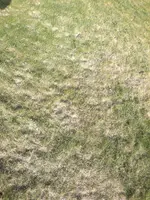 2012-03-28-009.webp
