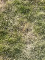 2012-03-28-007.webp