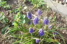 100_2998.webp