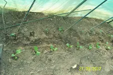 100_3008.webp