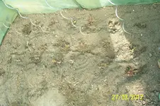 100_3009.webp