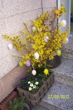 100_2994.webp
