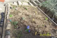100_2995.webp