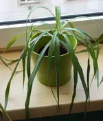 photo_02.webp