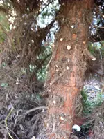 garten 2012 007.webp