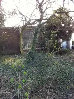 garten 2012 009.webp