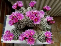 IMG_1728 - Kopie.webp