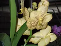 DSCF1673.webp