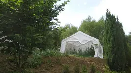 vorne mit Tomatenhaus.webp