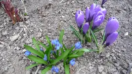 K800_Bunte Bilder 081.webp