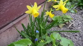 K800_Bunte Bilder 084.webp