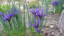 K800_Bunte Bilder 086.webp
