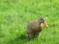 Bild 665.webp