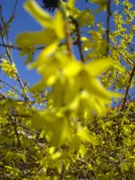 CIMG9116.webp