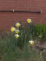 HPIM7353.webp