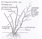 Prinzipskizze.webp