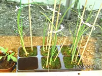 BILD0648.webp BILD0648.webp