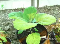 BILD0650.webp