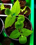 DSCF7544.2.webp