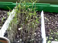 DSC0000011.webp
