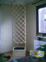 PIC00005.webp