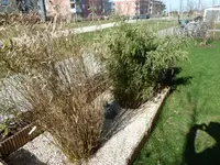 P1040726.webp