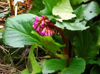 CIMG7101.webp