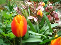 CIMG7104.webp