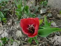 P1090018.webp