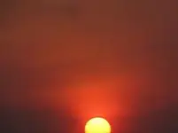 02 Lavendula   Leuchtfeuer.webp