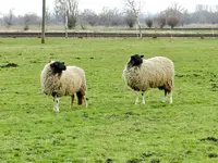 Schwennigen18-03-12_072.webp