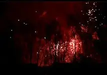 07 Lieschen M   Feuerwerk.webp
