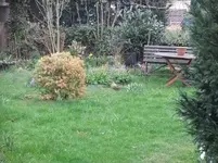 DSCF0615.webp
