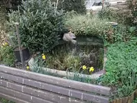 DSCF0617.webp