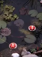 13 Kapha   Lichter der Liebe.webp