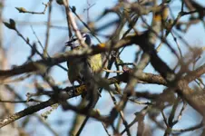 2012_0401Frühling0025.webp