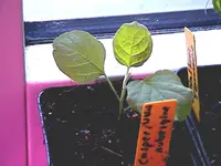 DSC00001.webp
