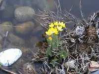 DSC00003.webp
