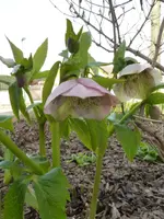 P1020200.webp