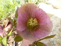 P1020202.webp