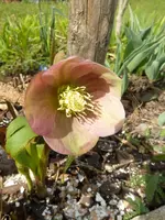 P1020203.webp