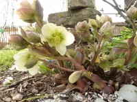 P1020204.webp