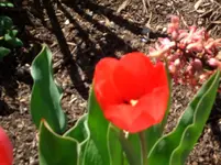 CIMG4252.webp