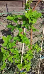 20120330_163936.webp