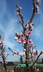 20120330_164007.webp