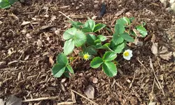 20120330_164053.webp
