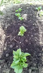 20120330_164139.webp