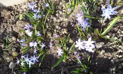 20120330_164027.webp